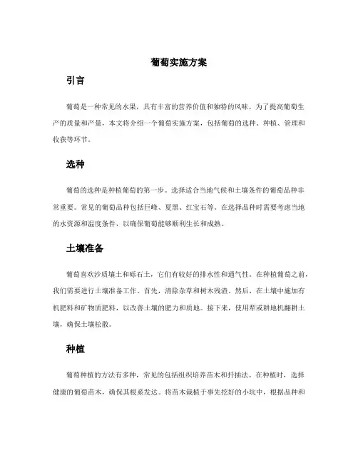 葡萄实施方案
