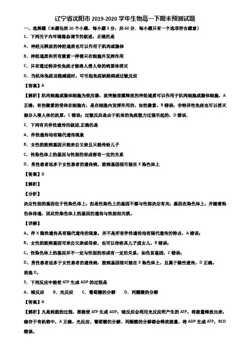 辽宁省沈阳市2019-2020学年生物高一下期末预测试题含解析