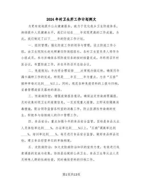 2024年村卫生所工作计划例文（五篇）
