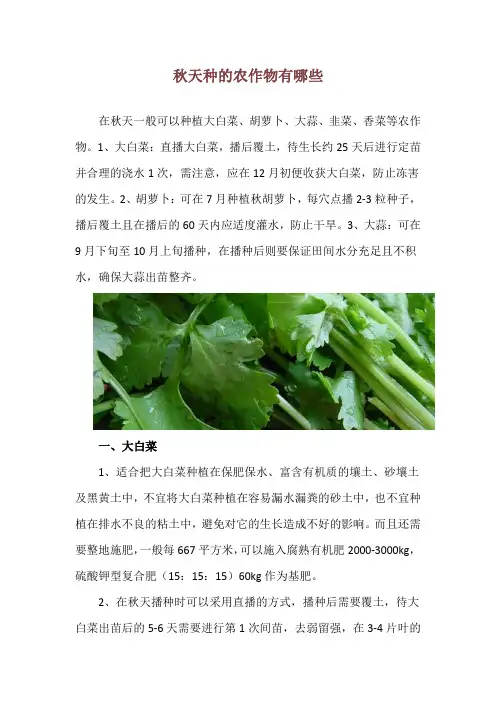 秋天种的农作物有哪些