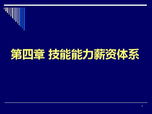 技能能力薪资体系ppt课件