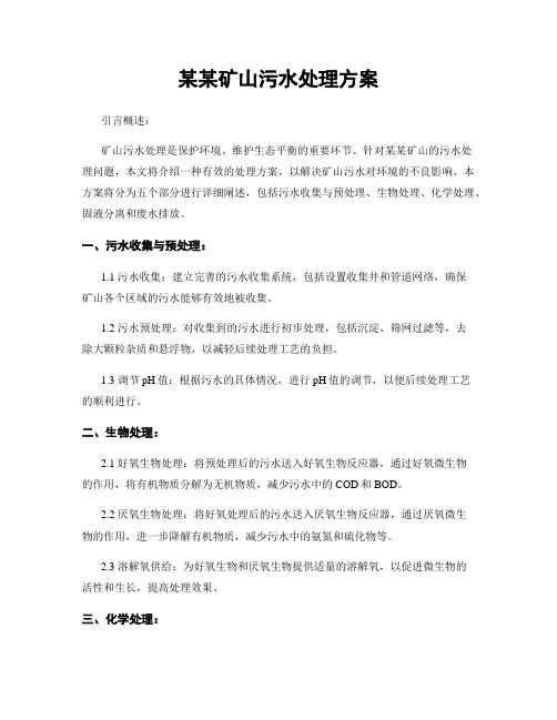 某某矿山污水处理方案