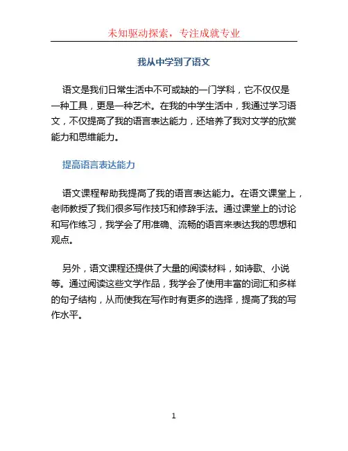 我从 中学到了语文