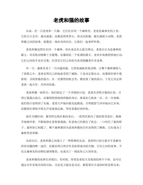 老虎和猫的故事