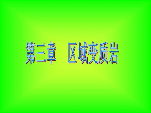 区域变质作用09