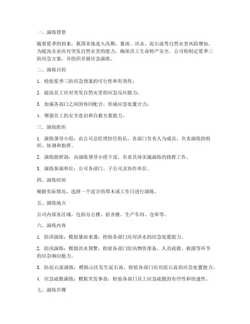 夏季三防应急方案演练