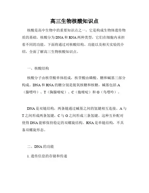 高三生物核酸知识点
