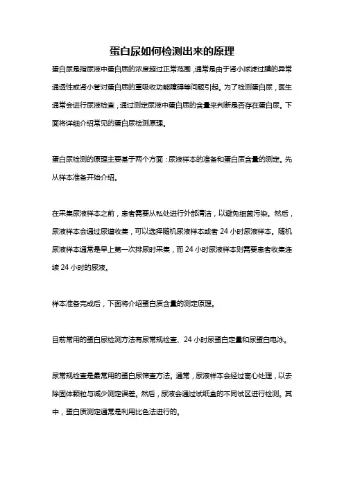 蛋白尿如何检测出来的原理