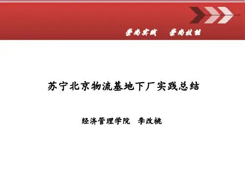 苏宁北京物流基地下厂实践总结