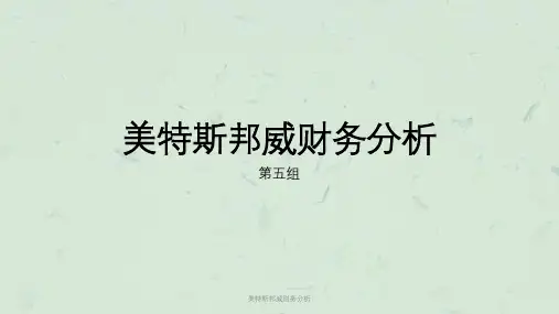 美特斯邦威财务分析课件