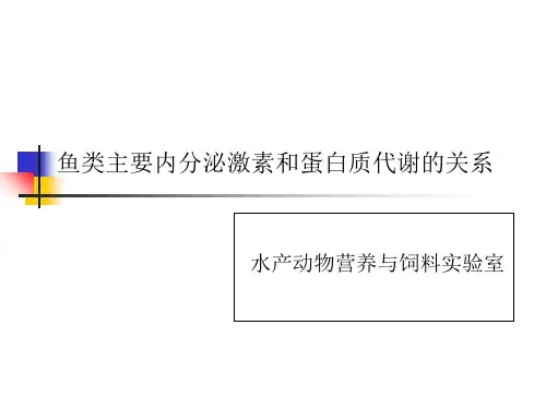 鱼类主要内分泌激素和蛋白质代谢的关系ppt课件