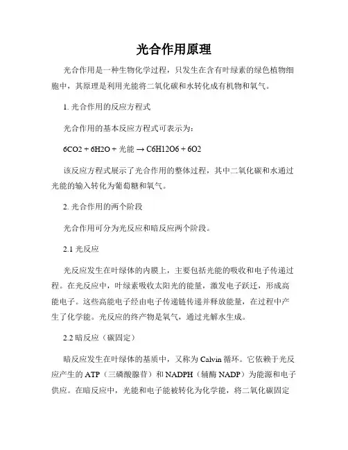 光合作用原理