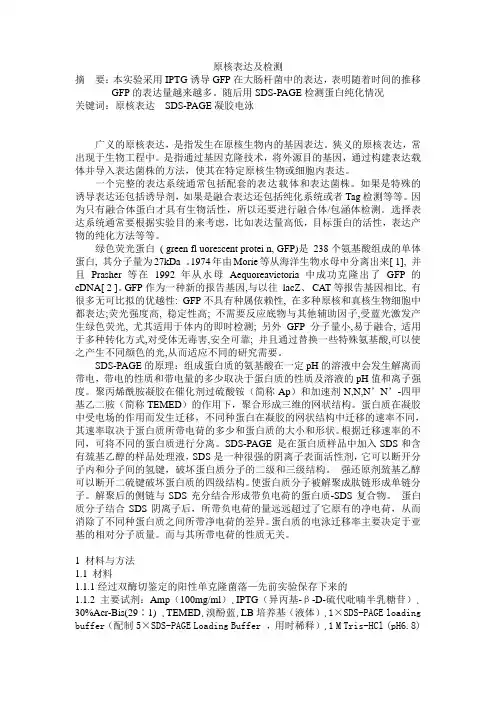 原核表达及检测