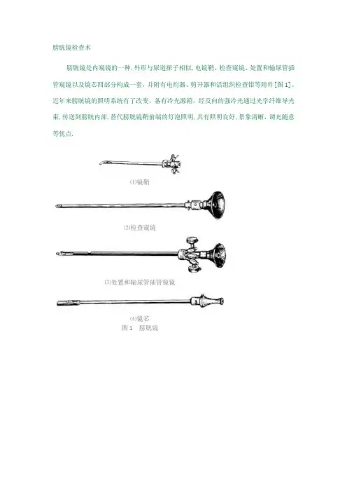 膀胱镜检查术附图【可编辑范本】