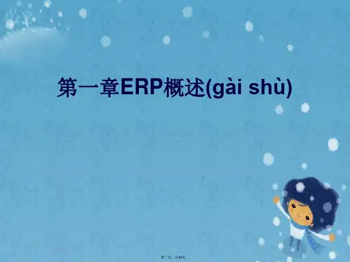 第一章ERP概述