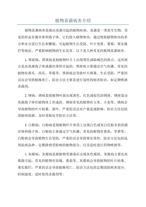 植物真菌病害介绍