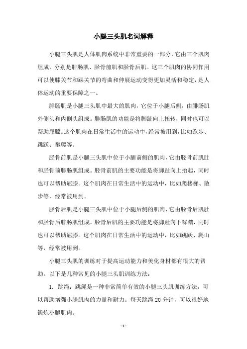 小腿三头肌名词解释