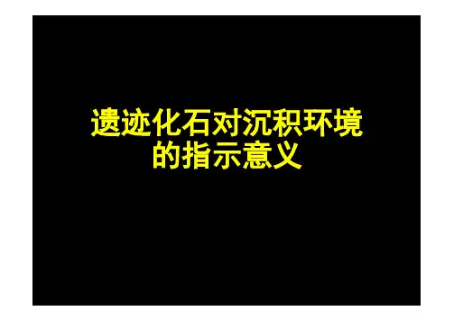 遗迹化石对沉积环境的指示意义