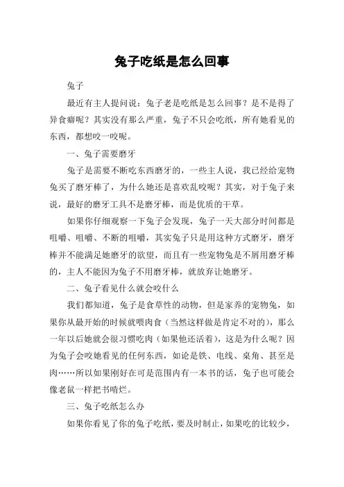 兔子吃纸是怎么回事