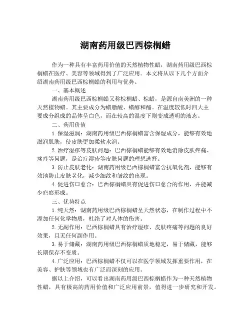 湖南药用级巴西棕榈蜡