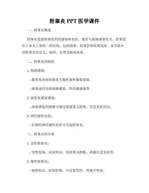 附睾炎PPT医学课件