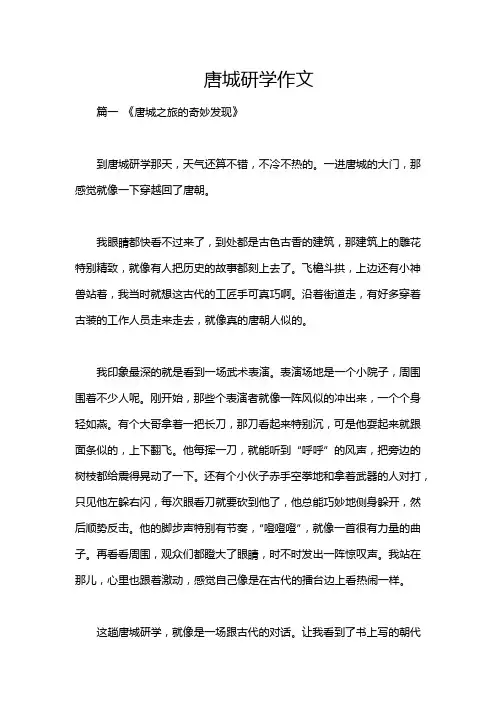 唐城研学作文