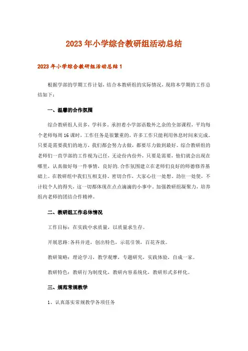 2023年小学综合教研组活动总结