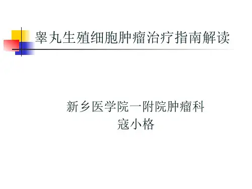2014年NCCN睾丸生殖细胞肿瘤治疗指南中文版