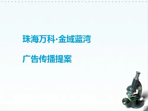 XXXX某地产金域蓝湾广告传播提案63