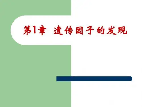人教版必修2第一章第一节孟德尔的豌豆杂交实验一(共29张PPT)