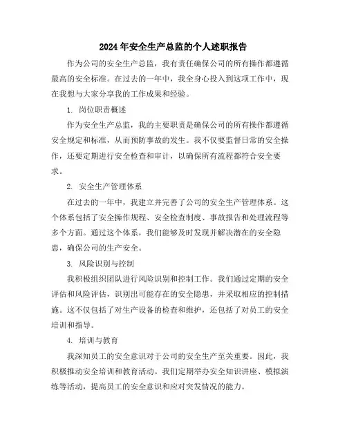 2024年安全生产总监的个人述职报告