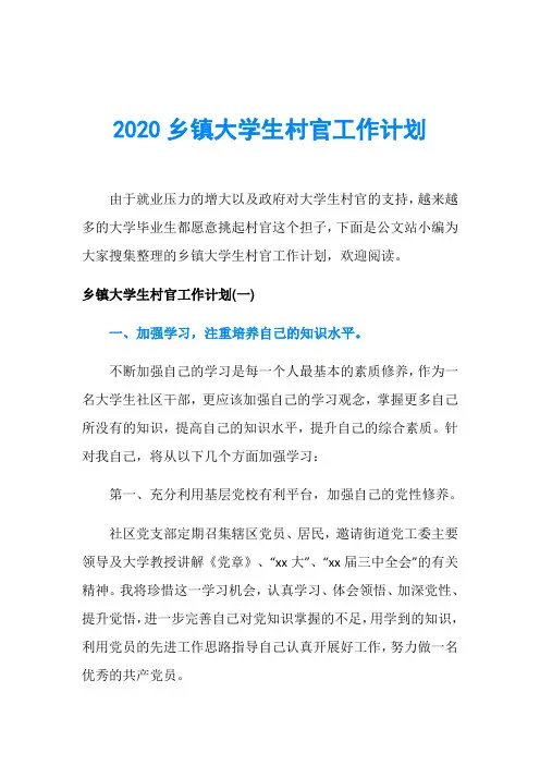 2020乡镇大学生村官工作计划