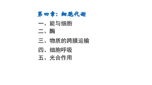 2020年生物竞赛辅导 第四章 细胞代谢