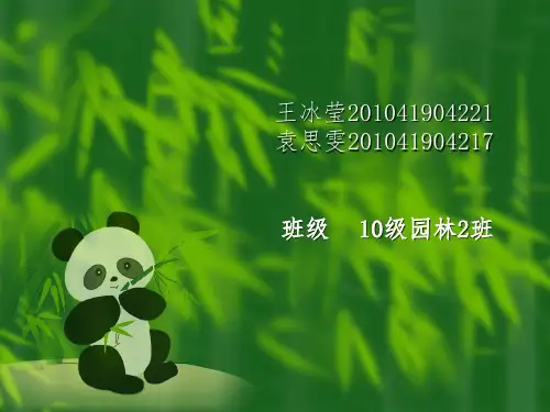 常用15种植物群落配置实例