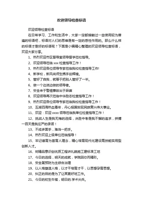 欢迎领导检查标语