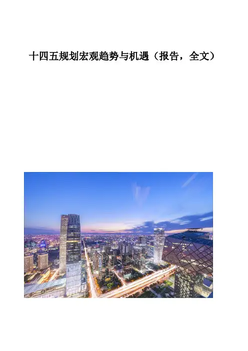十四五规划宏观趋势与机遇(报告,全文)