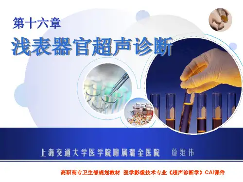 第十六章浅表器官超声诊断