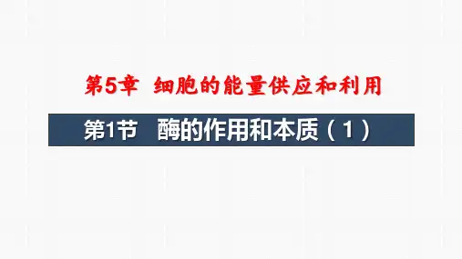 酶的作用和本质课件-高一上学期生物人教版必修1