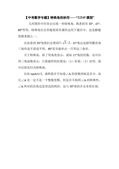 【中考数学专题】特殊角的妙用——“12345模型”