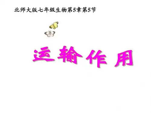 运输作用