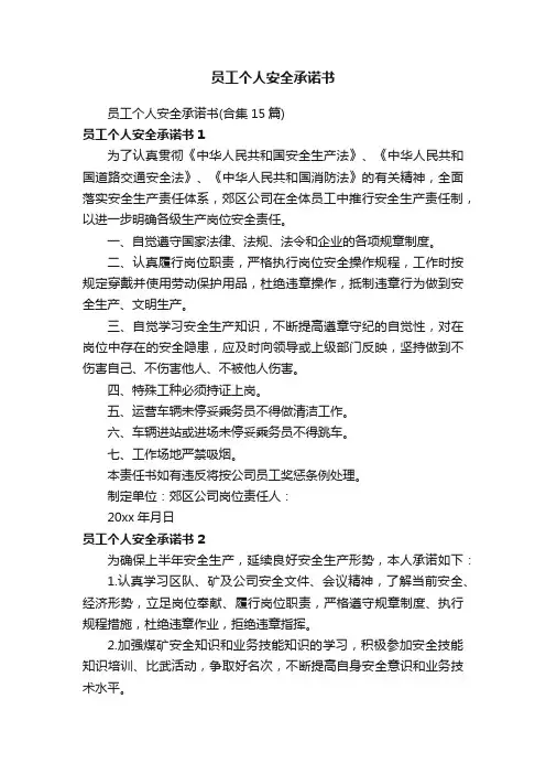 员工个人安全承诺书