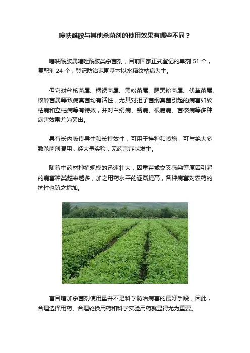 噻呋酰胺与其他杀菌剂的使用效果有哪些不同？