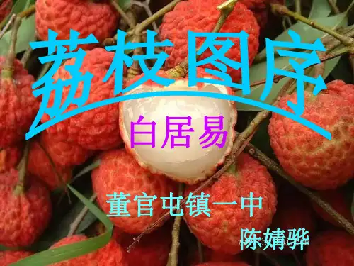荔枝图序课件