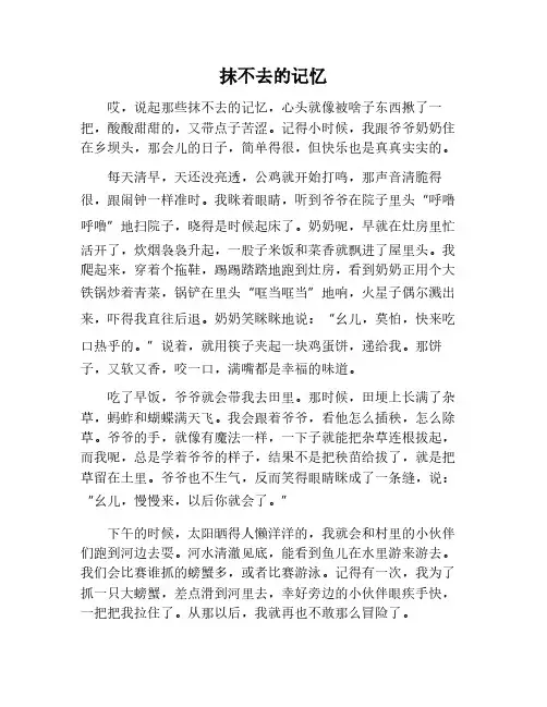 抹不去的记忆900字作文