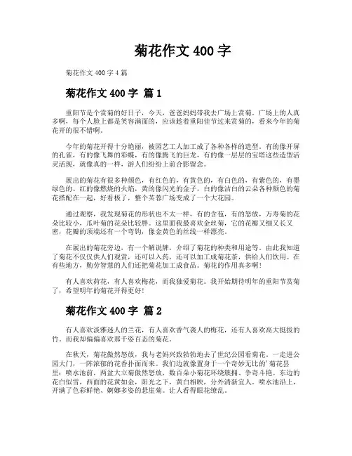 菊花作文400字
