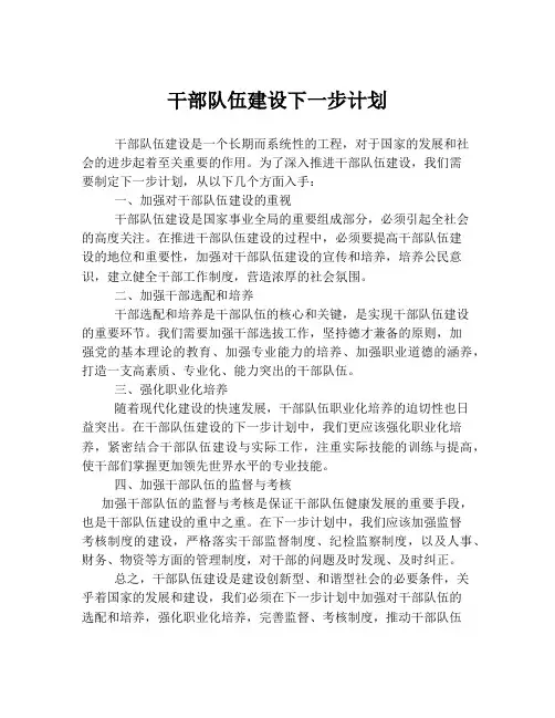 干部队伍建设下一步计划