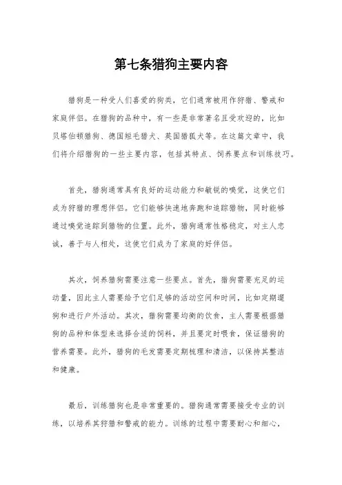 第七条猎狗主要内容