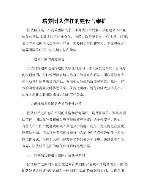 培养团队信任的建设与维护