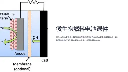 微生物燃料电池课件