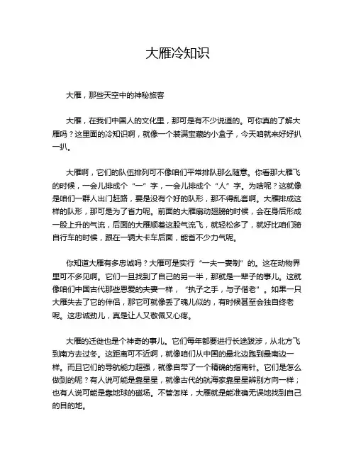 大雁冷知识